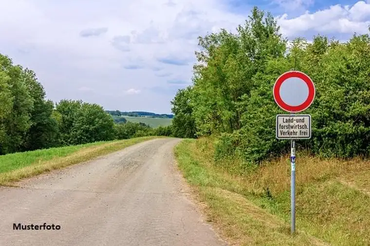Landwirtschaftsflächen