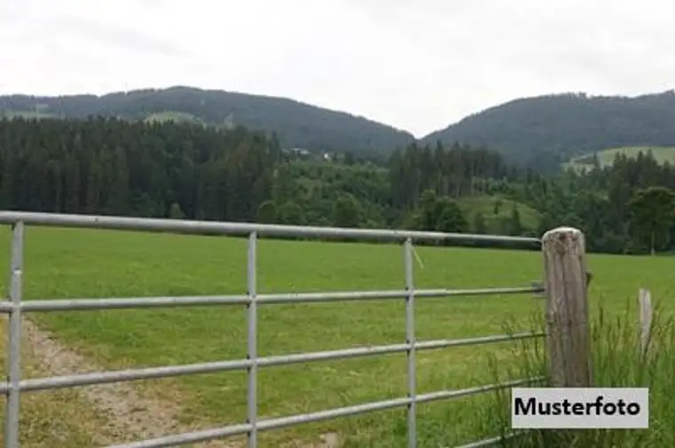 Land- und Forstwirtschaftl. Anwesen mit Hofstelle