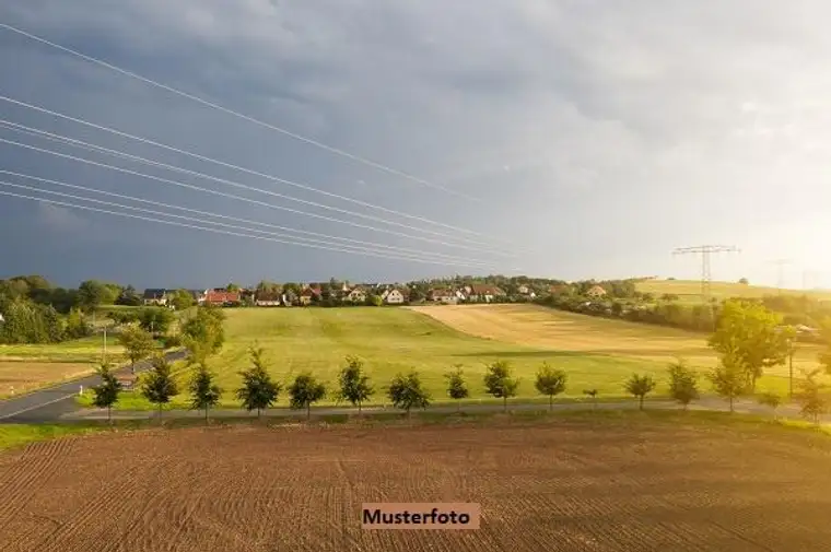 Landwirtschaftsflächen