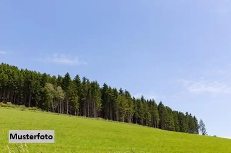 Land- und Forstwirtschaftsfläche