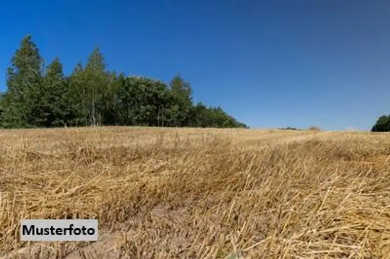 Landwirtschaftsflächen