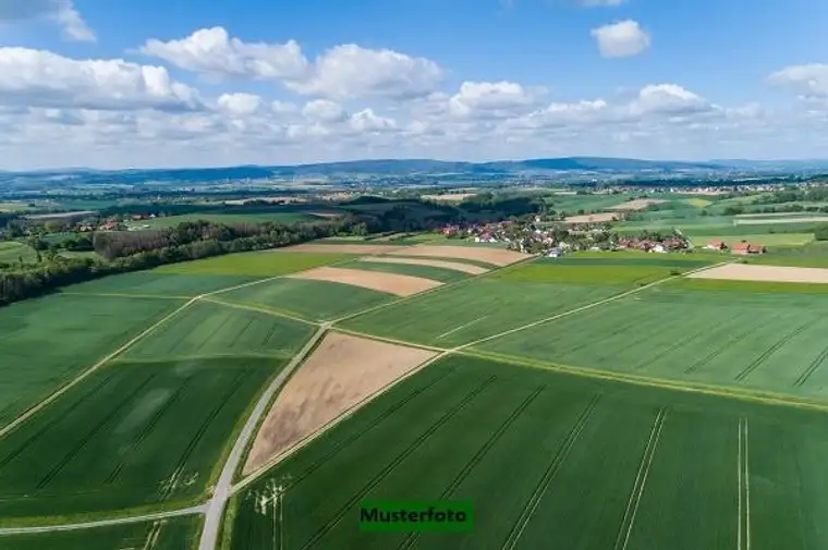 Berg, Daten Info Service Eibl GmbH Repräsentanz