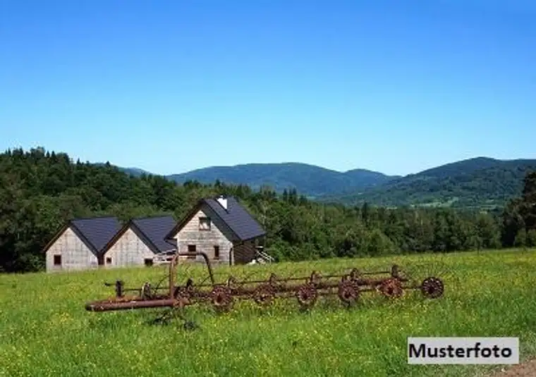 Landwirtschaftliches Anwesen mit 202 m² Wohnfläche &amp; umfangreichem Gebäudebestand