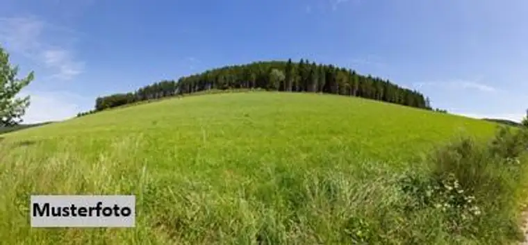 Grundstück mit Mähwiese, Waldflächen und ehemaligem Steinbruchareal
