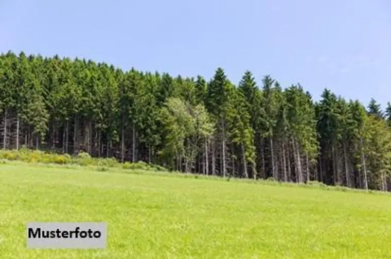 Land- und Forstwirtschaftsflächen