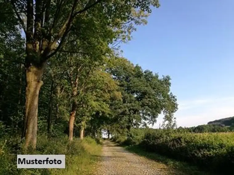 Land- und Forstwirtschaftsflächen