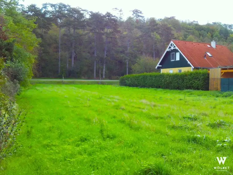 1.102 m² Baugrund in absoluter Ruhelage - nahe Kurort Bad Pirawarth - ohne Baumbestand - angrenzend am Föhrenwald