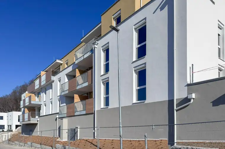 ERSTBEZUG: Wohnung mit Grünblick
