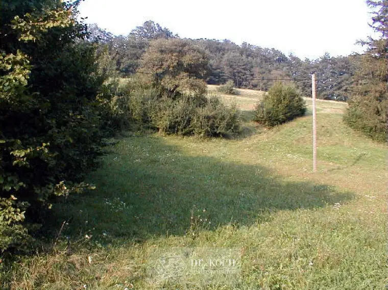 Schnäppchen Wunderschöne, südseitige Wiese, ! K E I N BAUGRUND !!