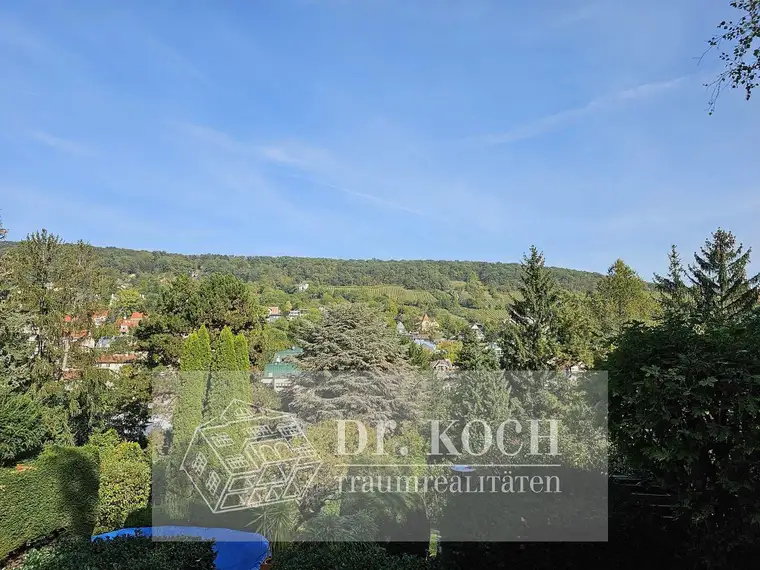 Baugrund mit Baubewilligung für Luxusvilla!