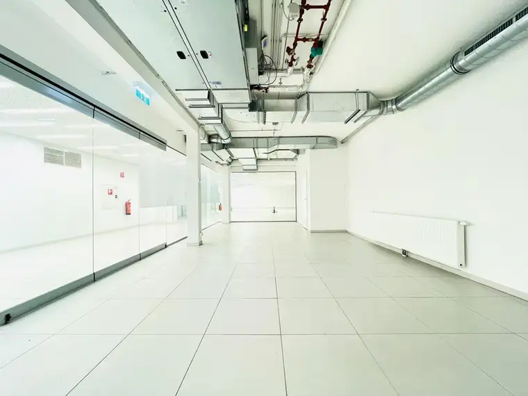 Ihr Start-up, Ihr Erfolg – die ideale Location wartet!