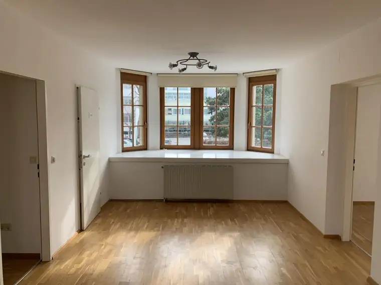 3-Zimmer-Wohnung im Zentrum von Baden - 
Blick auf die Schwechat!