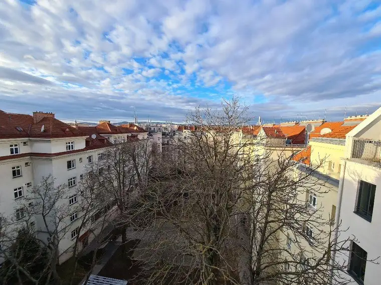 Krenek Helene, IMV Immobilienmakler