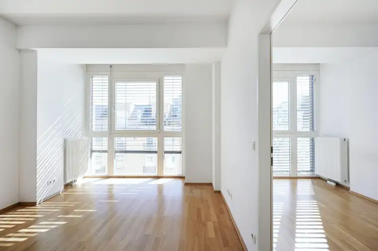 Sebastian Auer, IMV Immobilienmakler