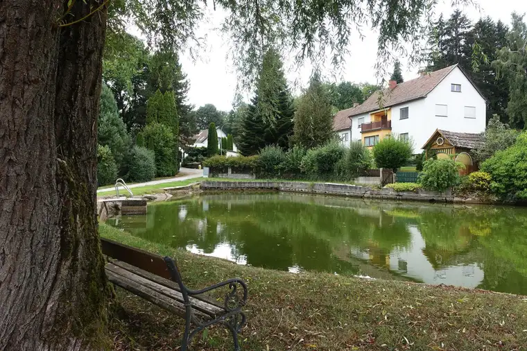 Ruhiges Wohnen im Grünen – und trotzdem kurze Wege zur Stadt.