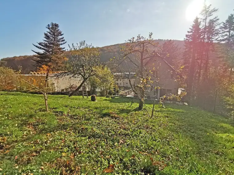 Sehr gut bebaubare Liegenschaft mit eigenem Wald!