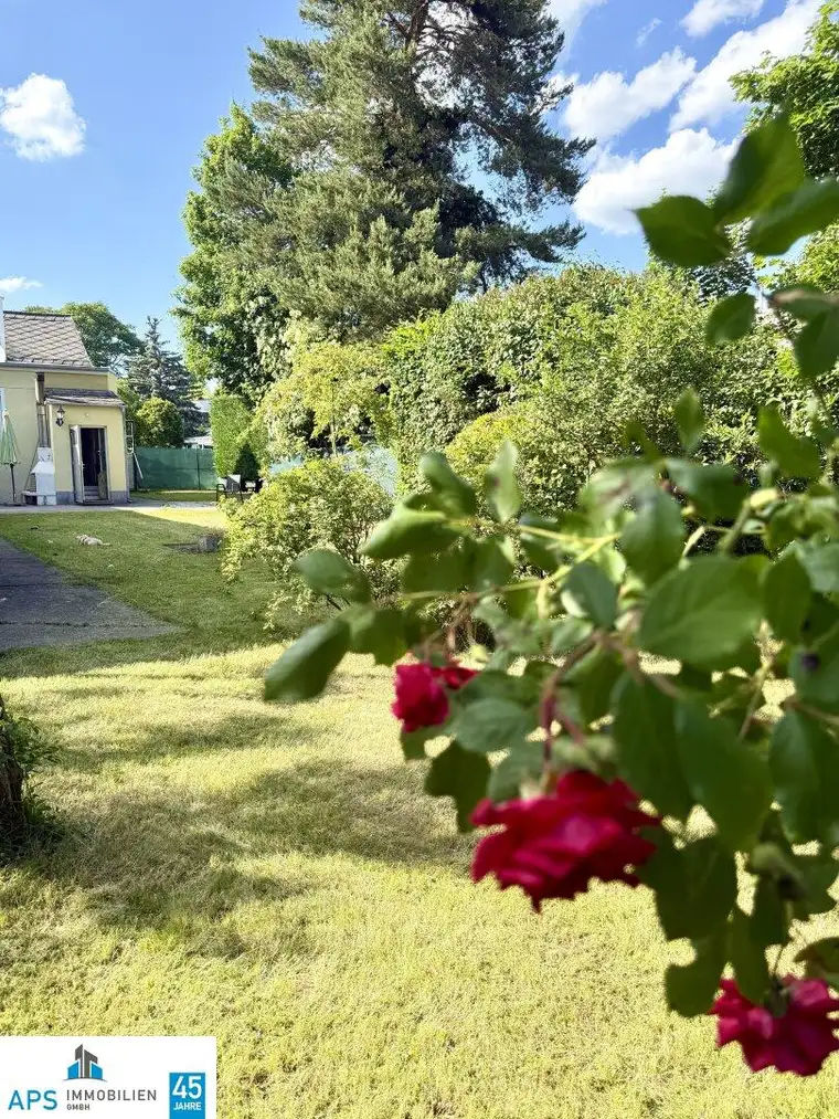 Herrliche Altbauvilla - absolute Grünruhelage - 190 m² Wfl. - 1.100 m² Garten mit Pool