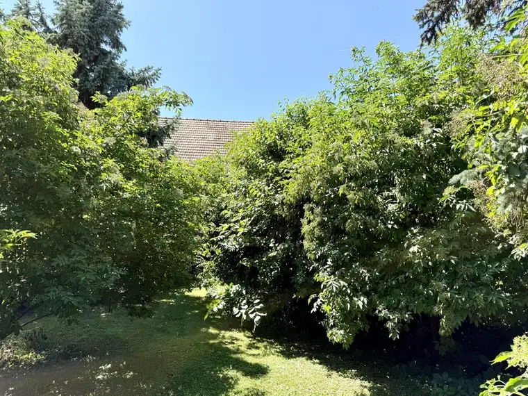 idyllischer verträumter Garten - kein vis-a-vis - einzigartiger Baugrund - 578 m²