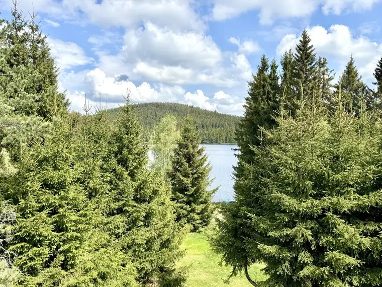 HAUS AM SEE - Ihr privates Naturparadies im Waldviertel