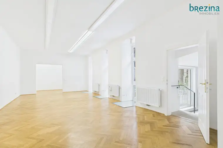 Ruhig arbeiten in moderner Atmosphäre und mit einem Platz an der Sonne