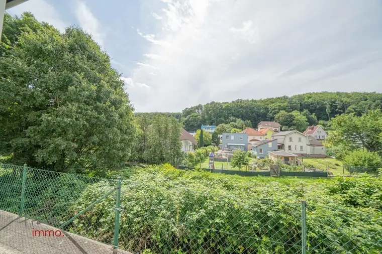 Großzügige Büro-Wohnung mit Grünblick!