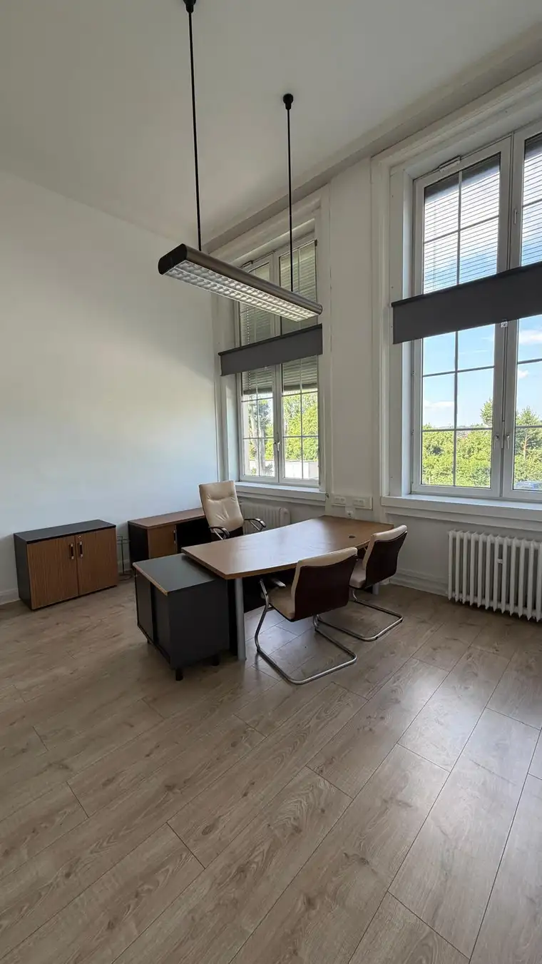 Büro / Ordination / Atelier / Kosmetikstudio im repräsentativen Palais Werndl zu vermieten