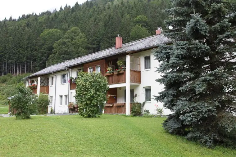 Geförderte Mietwohnung in Radmer