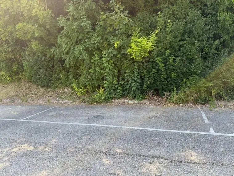 ++ PKW-AUSSENSTELLPLATZ ++ in Kaltenleutgeben, Hauptstraße 3