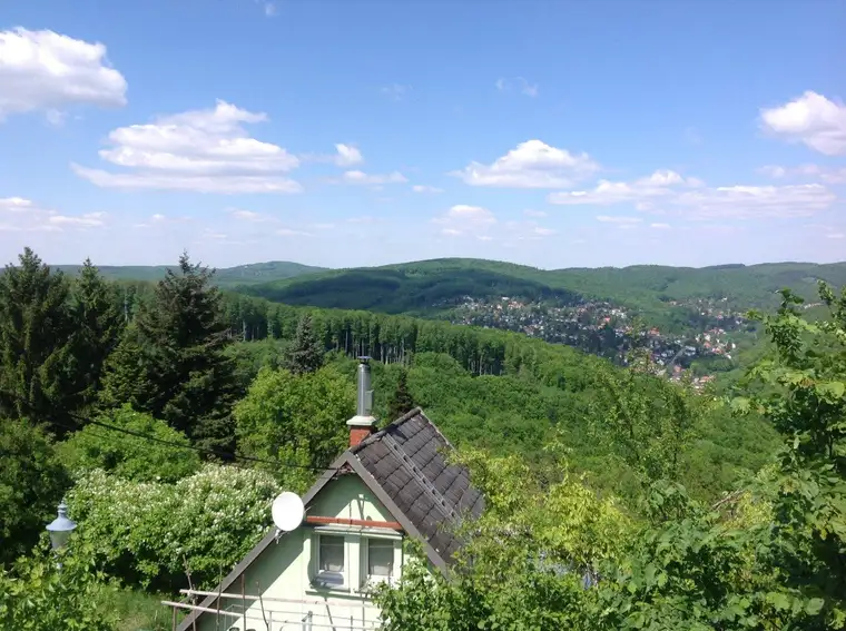 Grüne Oase am Stadtrand