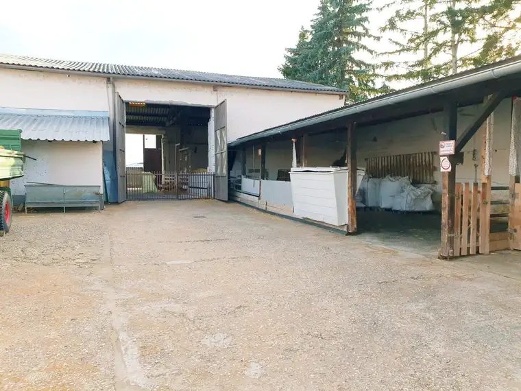 Schlachtbetrieb mit Büro + Wohngebäude zu verkaufen!