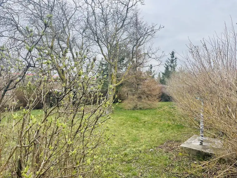 WUNDERVOLLER GARTEN