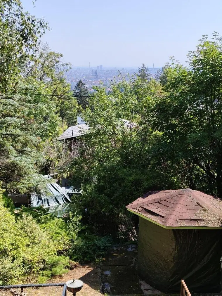 Doppelparzelle am Predigtstuhl mit toller Aussicht – Toplage! - Terrasse, Garten, Wohnhaus