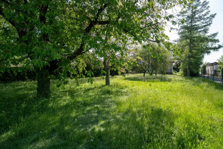 ++ Idyllisches Grundstück mit einfachem, sanierungsbedürftigem Ferienhaus ++