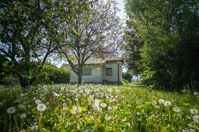 ++ Idyllisches Grundstück mit einfachem, sanierungsbedürftigem Ferienhaus ++