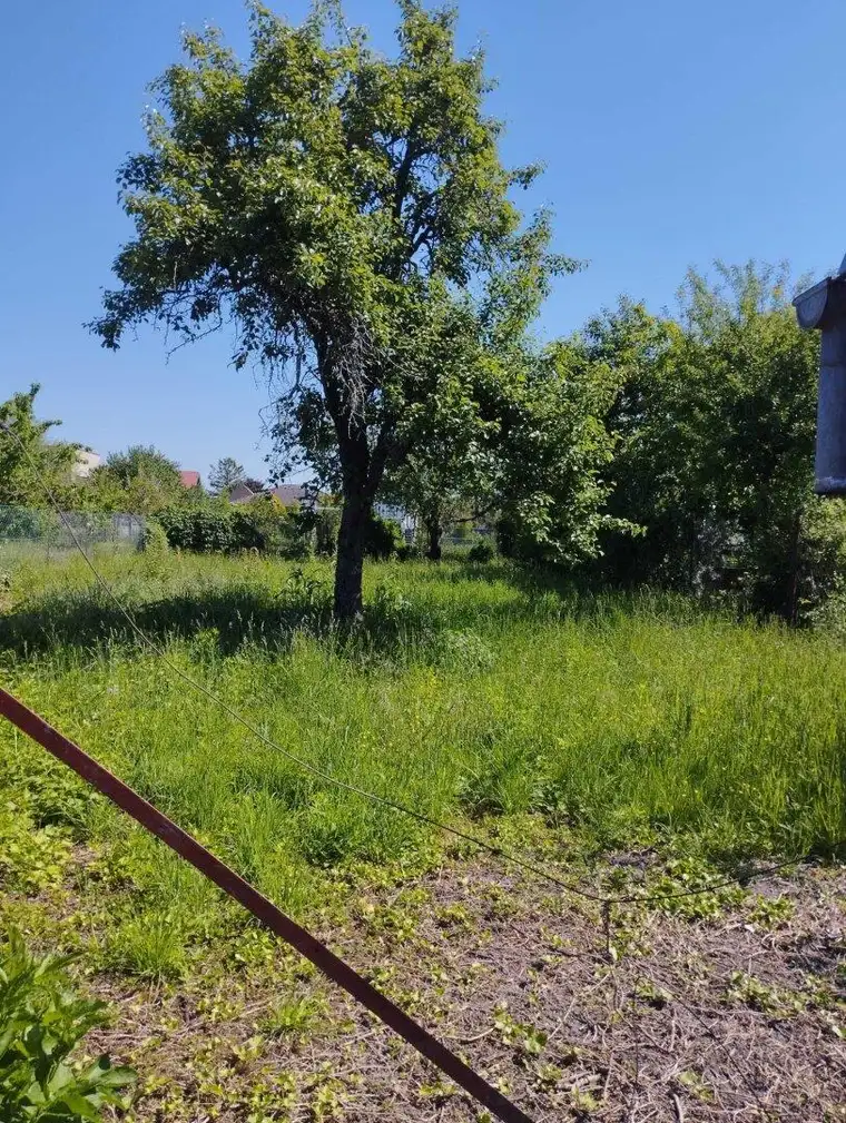 Traumhaftes Baugrundstück in WIMPASSING AN DER LEITHA