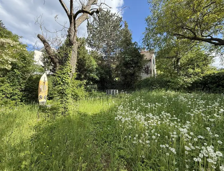 Wo Stadtmenschen Wurzeln schlagen – Gartenidylle zum Pachten!