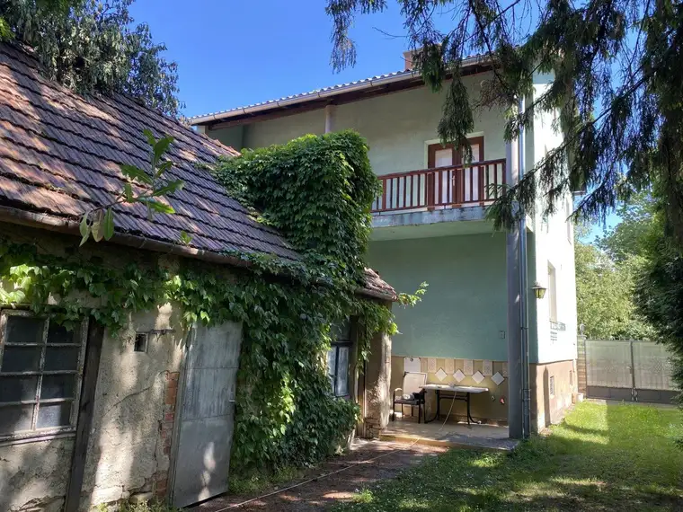 „Ich brauch Tapetenwechsel, sprach die Birke …"