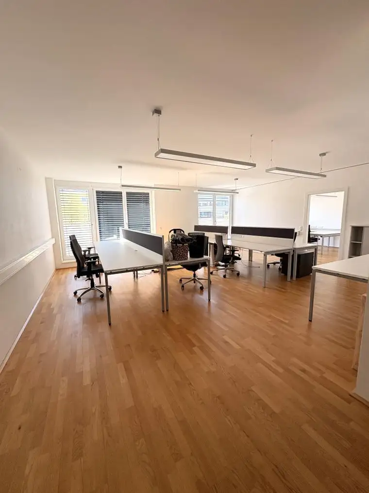 Große Büro-/Geschäftsfläche in St. Martin im Mühlkreis - ca. 211,82 m²