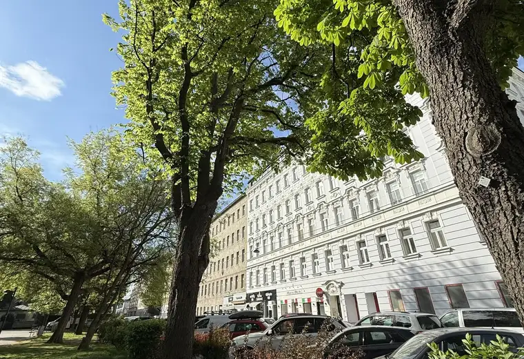 Altbauwohnung mit Parkblick in urbaner Lage - perfekt für Singles/Studenten oder Anleger