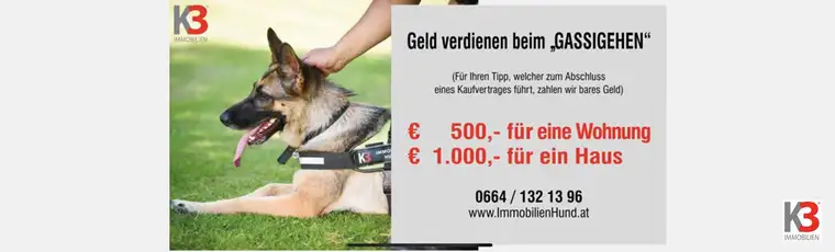 K3 - Doppelhaushälfte in ruhiger Lage | Gneis