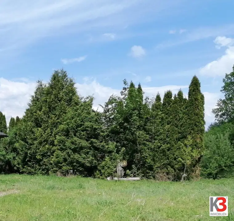 K3 - Baugrundstück mit Wald in Rosegg