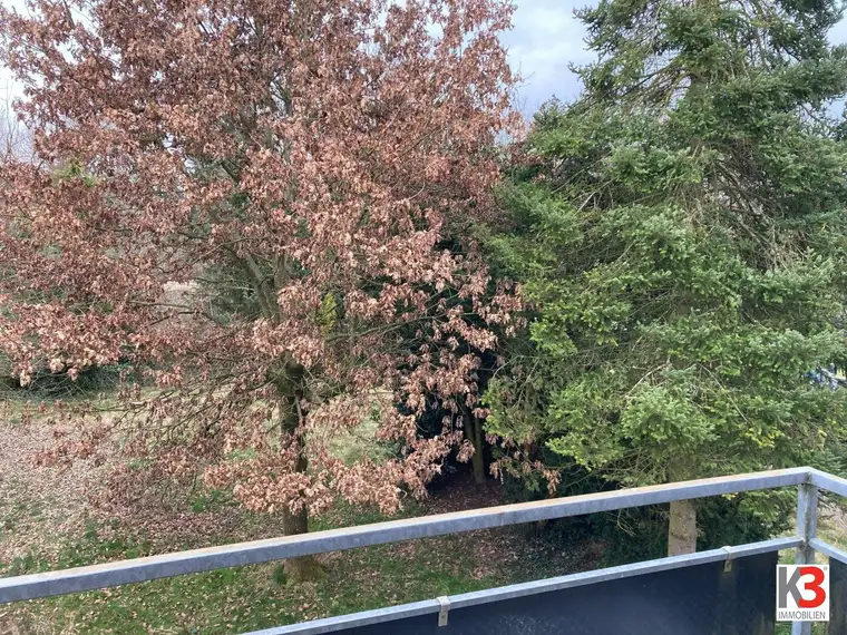 K3 - Braunau am Inn - LEISTBARES Einfamilienhaus in absoluter Ruhelage!!