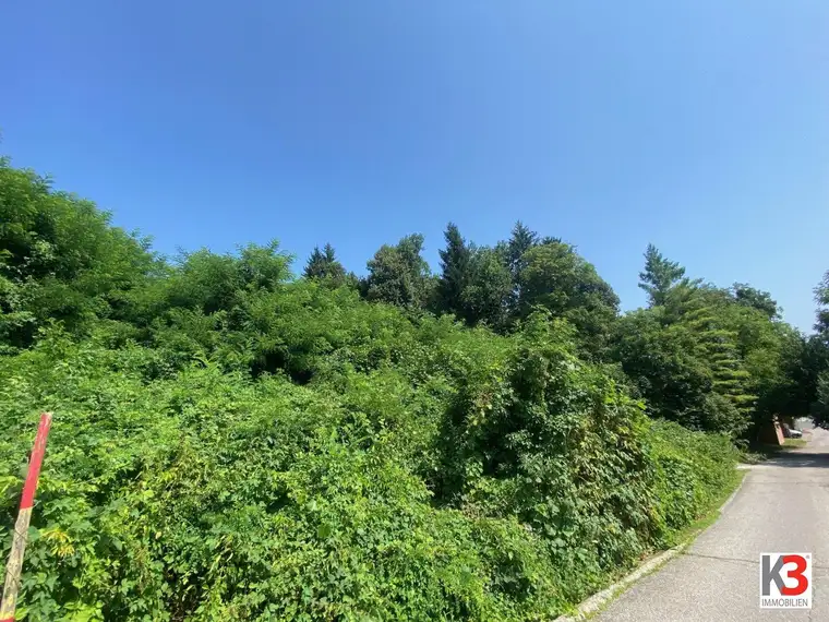 K3 - NEU - SONNIG GELEGENE HANGBAUGRÜNDSTÜCKE - NÄHE ZENTRUM UND STIFT VIKTRING