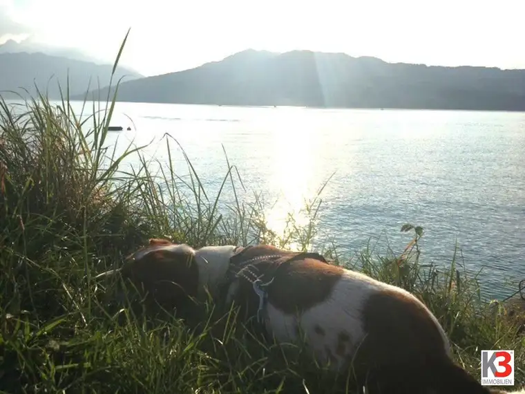 K3 - SELTENE GELEGENHEIT - Baugrundstück I N K L U S I V E Benutzungsrecht für BADEPLATZ! Wohnen am traumhaften ATTERSEE!