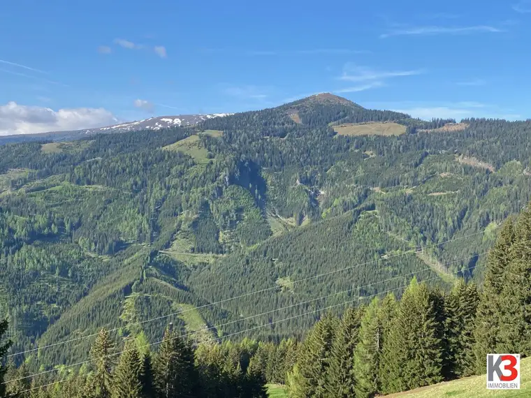 K3 - NEU: EIGENJAGD - KÄRNTEN