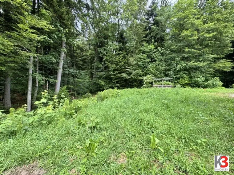 K3 - Auf diesem Baugrund in Koppl könnte bald Ihr neues Eigenheim stehen! Stadtnahes Naturparadies!