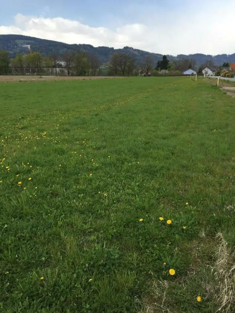 ** Baugrund in Weißkirchen - 1.959 m² in Top Lage ++