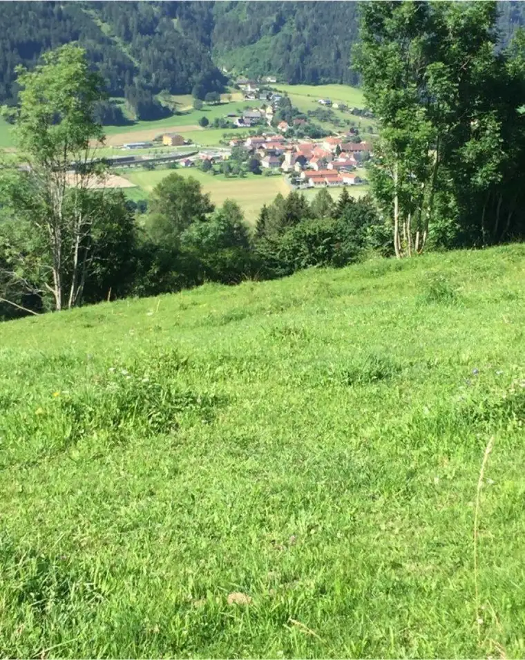 Wiese 2-mähdig und Weidefläche