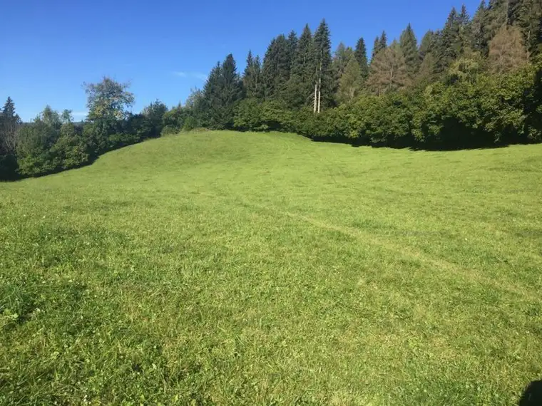 3,2 ha zweimähdige Wiese oder Weidefläche