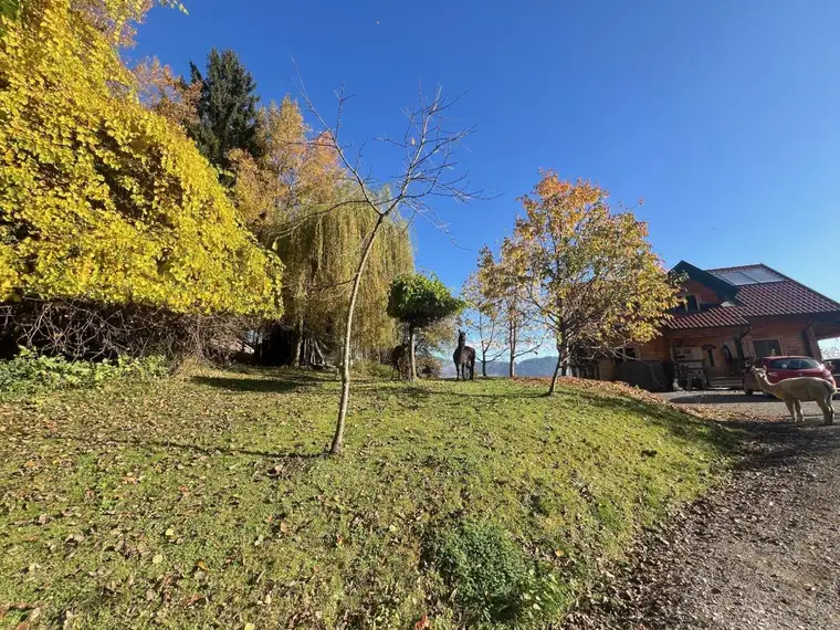 Kleinlandwirtschaft mit Panoramalage im Murtal
